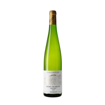 Trimbach Riesling Brand Grand Cru 2019