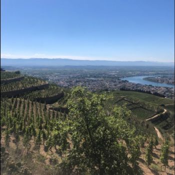 La Syrah del Rhône Nord (Barcelona, 25/05/2026)
