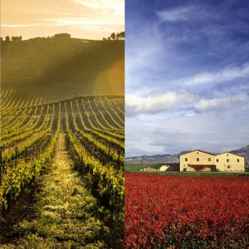 Rioja VS Ribera del Duero (Barcelona, 06/05/2026)